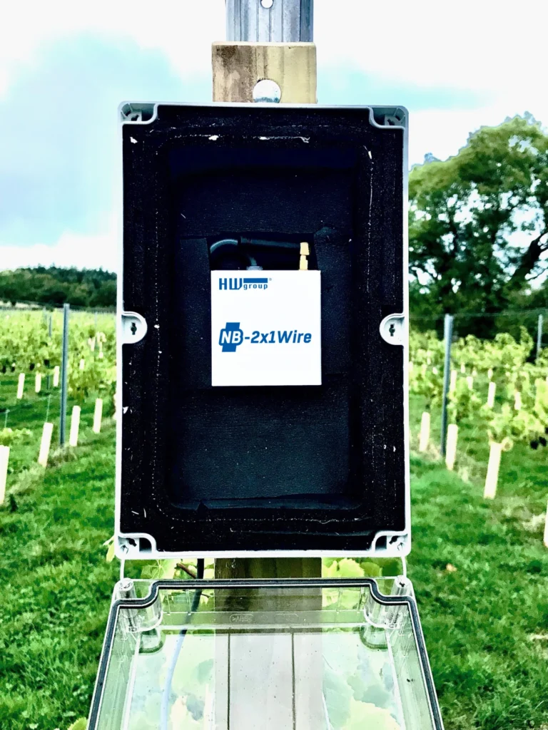 NB-IoT megoldás védi a szőlőt: esettanulmány a Tair Gafr Wines borászatról (CS01)