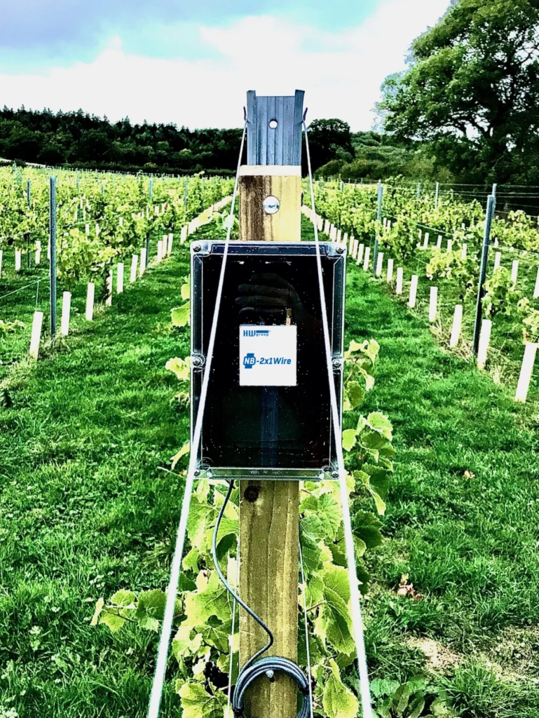 NB-IoT megoldás védi a szőlőt: esettanulmány a Tair Gafr Wines borászatról (CS01)